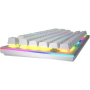 Hator Gravity X TKL Orange USB White (HTK551UA) (UA)