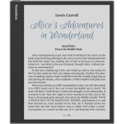 PocketBook 1042 InkPad Eo Mist Grey (PB1042-M-WW) (UA)