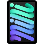 Apple iPad mini 7 Wi-Fi + Cellular 256GB Space Gray (MXPT3)