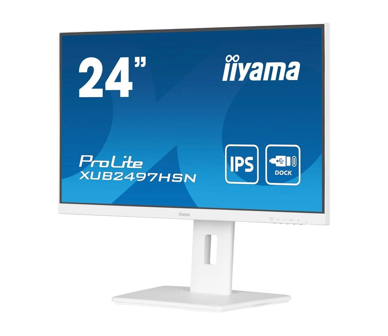 iiyama ProLite XUB2497HSN-W2 (XUB2497HSN-W2) EU Тип екрана  Плоска 