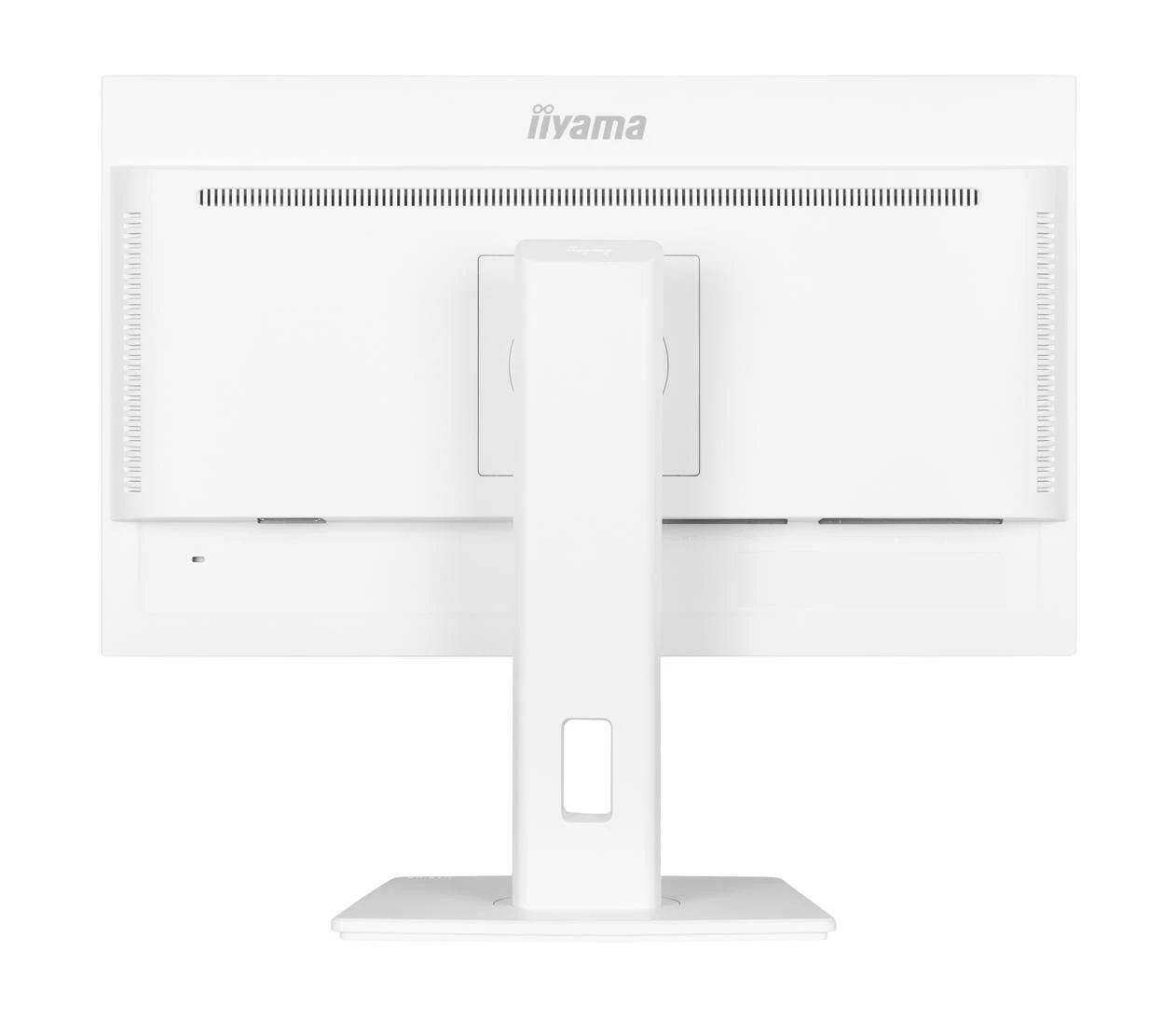 iiyama ProLite XUB2497HSN-W2 (XUB2497HSN-W2) EU Матричне покриття  MATTE 