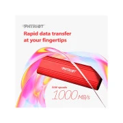 USB-C 512GB Patriot (PTPL512GPEC) (UA)