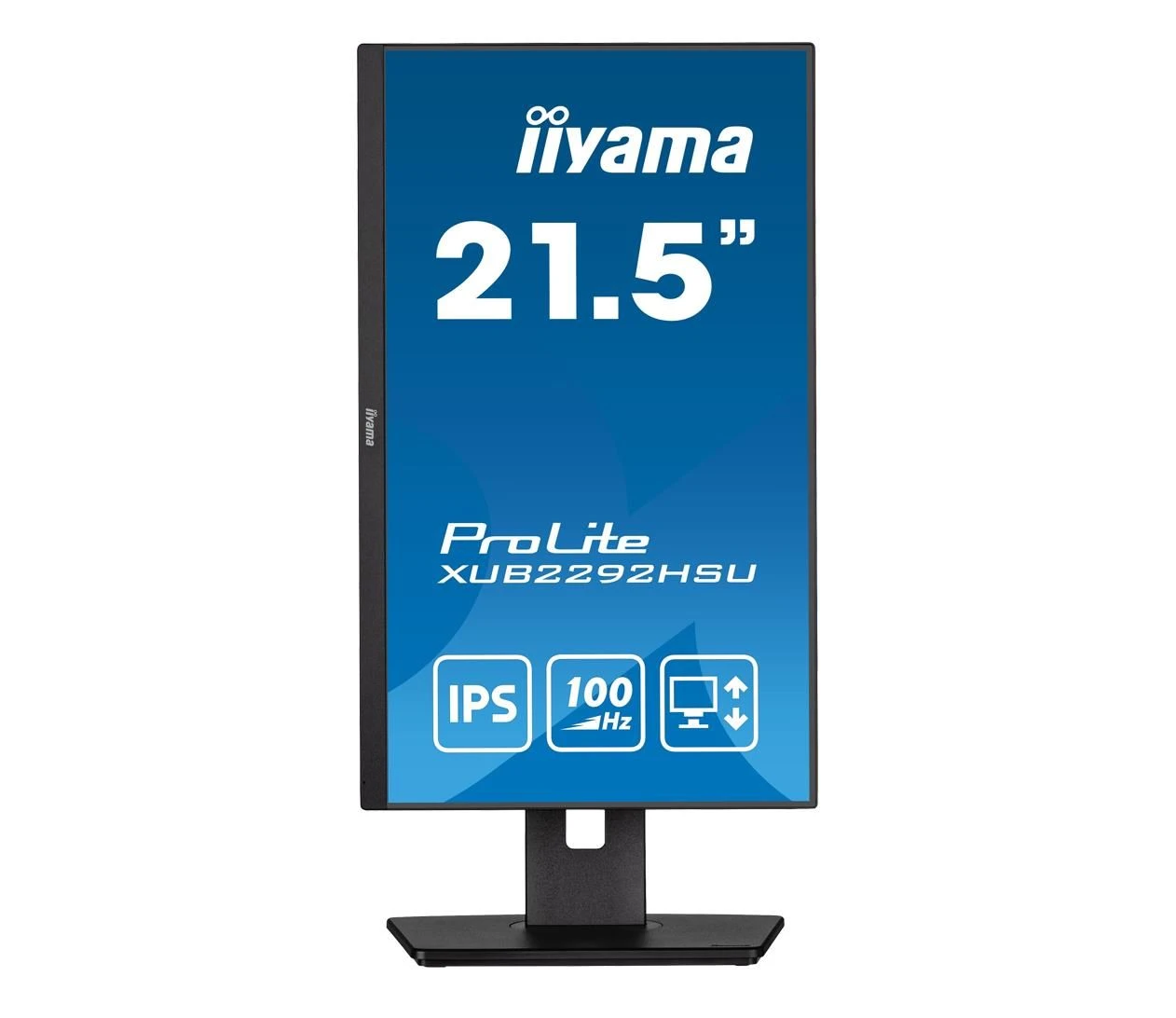 iiyama XUB2292HSU-B6 (XUB2292HSU-B6) EU Тип экрана  Плоский