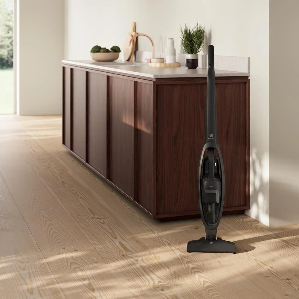 Electrolux ES31CB18GG Бренд: Electrolux; Емкость