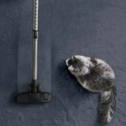 Rowenta Green Force Cyclonic RO7C66EA