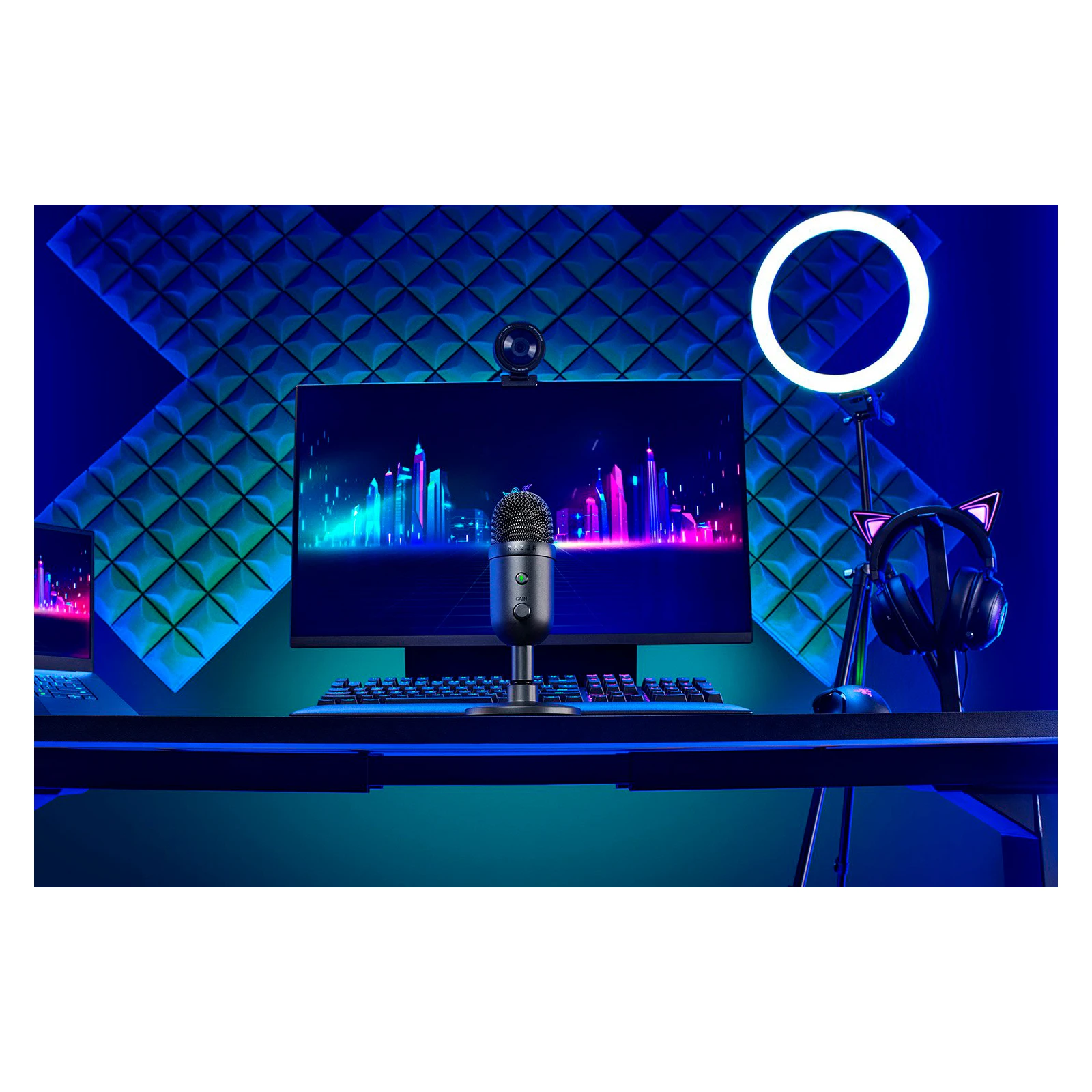 Razer Seiren V3 Mini Black (RZ19-05050100-R3M1) (UA) Тип: конденсаторний;