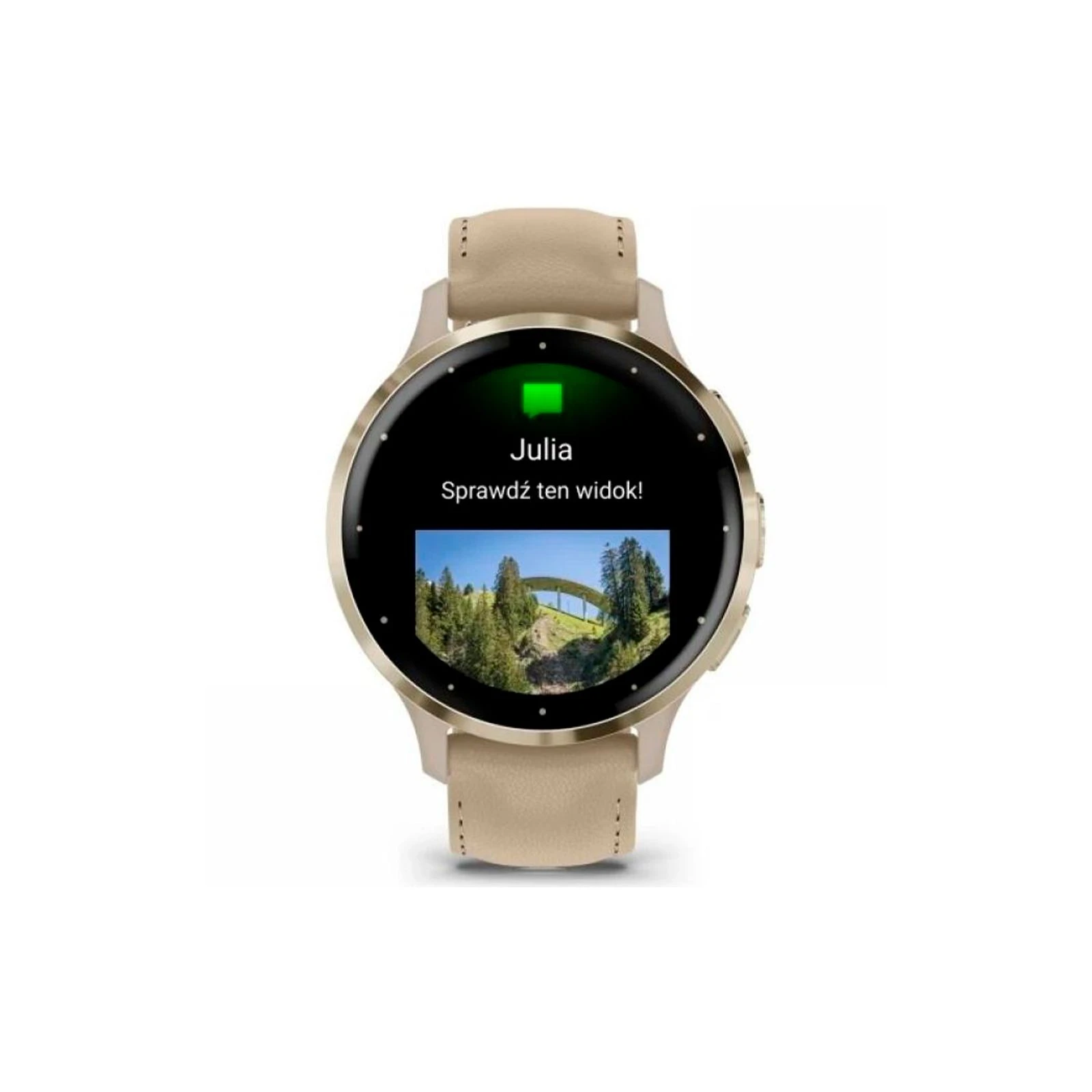 Garmin Venu 3S, Fr. Gray + Soft Gold, Leather, GPS (010-02785-55) (UA) Форма часов круглые