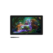 Huion Kamvas RDS-220 (RDS-220) (UA)