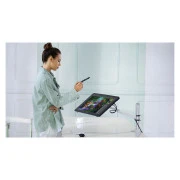 Huion Kamvas RDS-220 (RDS-220) (UA)