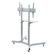 Sector T10 Grey (UA)