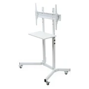 Sector T10 White (UA)