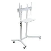 Sector T10 White (UA)