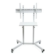 Sector T10 White (UA)