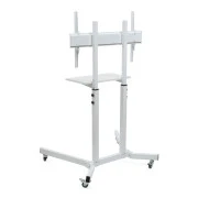 Sector T10 White (UA)