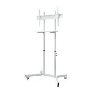 Sector T10 White (UA)