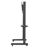 Sector T6 Black (UA)