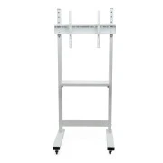 Sector T7 White (UA)