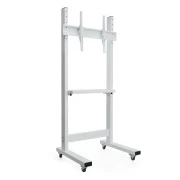 Sector T7 White (UA)