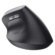 Trust Bayo 2 Ergonomic Wireless/USB-A Black (25145) (UA)