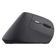 Trust Bayo 2 Ergonomic Wireless/USB-A Black (25145) (UA)