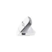 Trust Bayo 2 Ergonomic Wireless/USB-A White (25146) (UA)