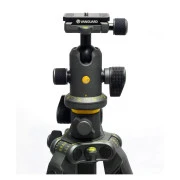 Vanguard Alta Pro 2+ 263AB 100 (DAS302029) (UA)