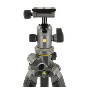 Vanguard Alta Pro 2+ 263AB 100 (DAS302029) (UA)