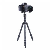 Vanguard Vesta TB 204ABS (DAS301639) (UA)