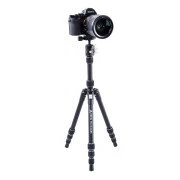 Vanguard Vesta TB 204ABS (DAS301639) (UA)