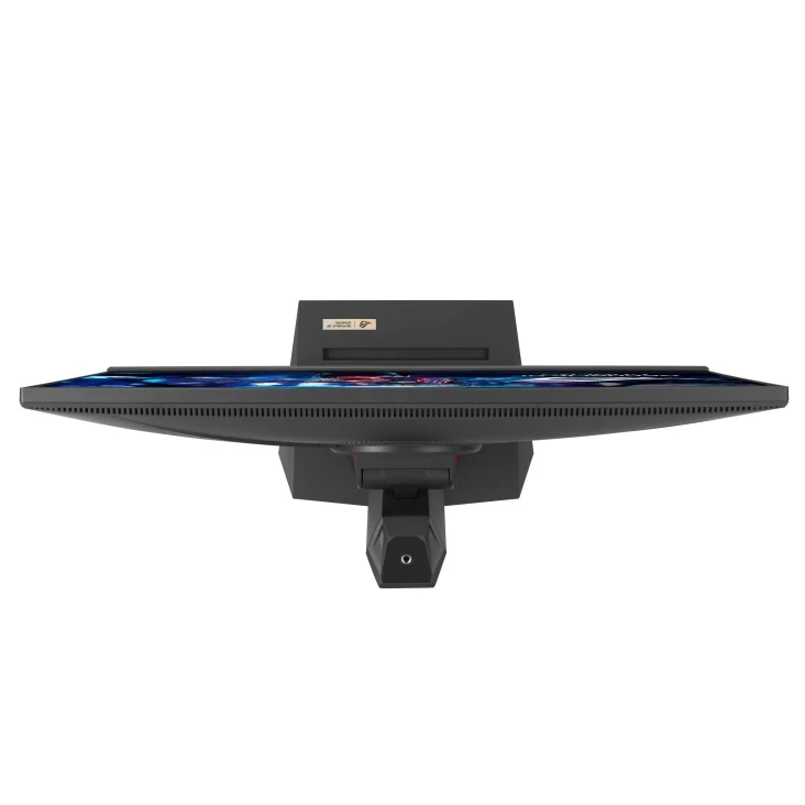 ASUS 24.5