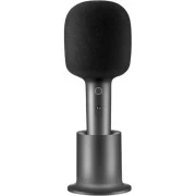 MiJia Karaoke Gray (XMKGMKF01YM/BHR6752GL)