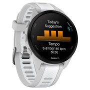 Garmin Forerunner 165 Music Mist Gray/Whitestone (010-02863-31) (UA)
