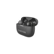 Canyon TWS-10 OnGo ANC ENC Graphite (CNS-TWS10B) (UA)