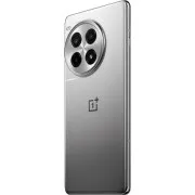OnePlus Ace 3 Pro PJX110 12/256Gb Gray