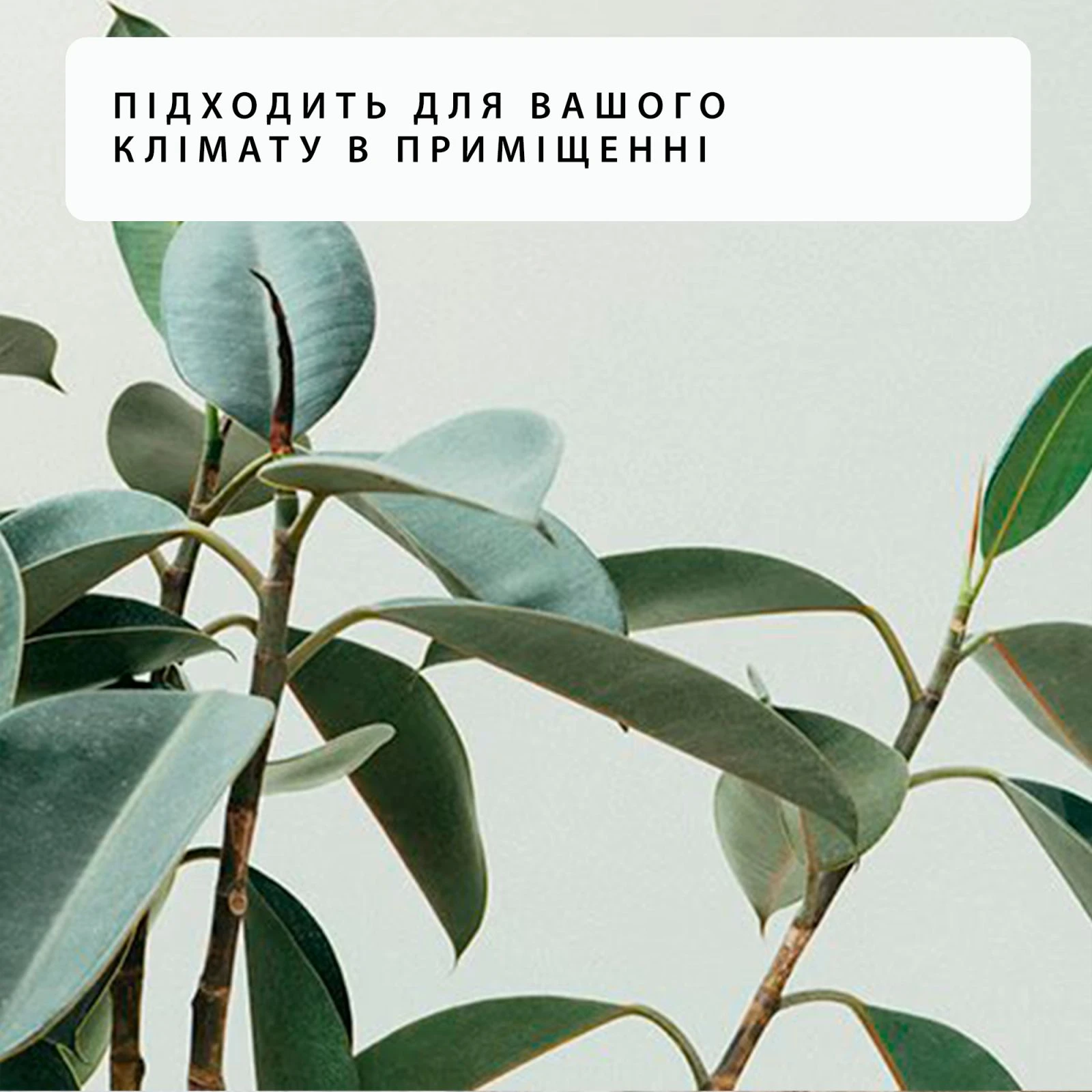 Mill PA1500WIFI3 (UA) Тип: конвектор; Площа обігріву: 22