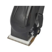 Rotex RHC175-C ProLine Cordless (UA)