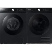 Samsung WW11B1944AGBUA