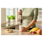 Sencor SHB6302BK (UA)