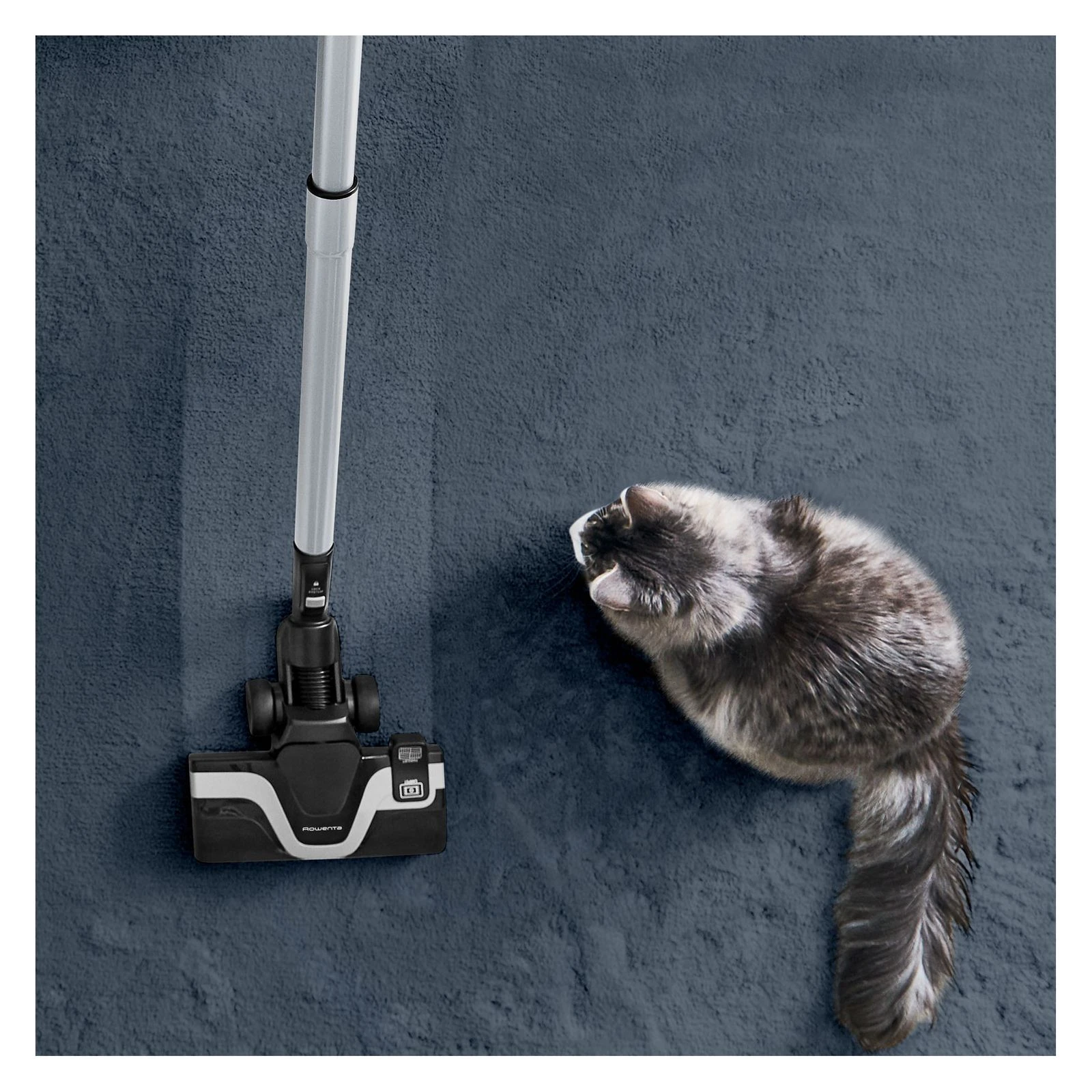 Rowenta RO7971EA (UA) Тип пилозбірника контейнер