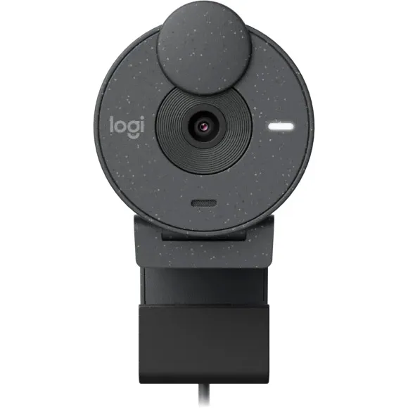 Logitech Brio 300 FHD Graphite (960-001436) (EU) Стандарт видеоразрешения Full HD