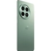 OnePlus Ace 3 Pro PJX110 24/1TB Green