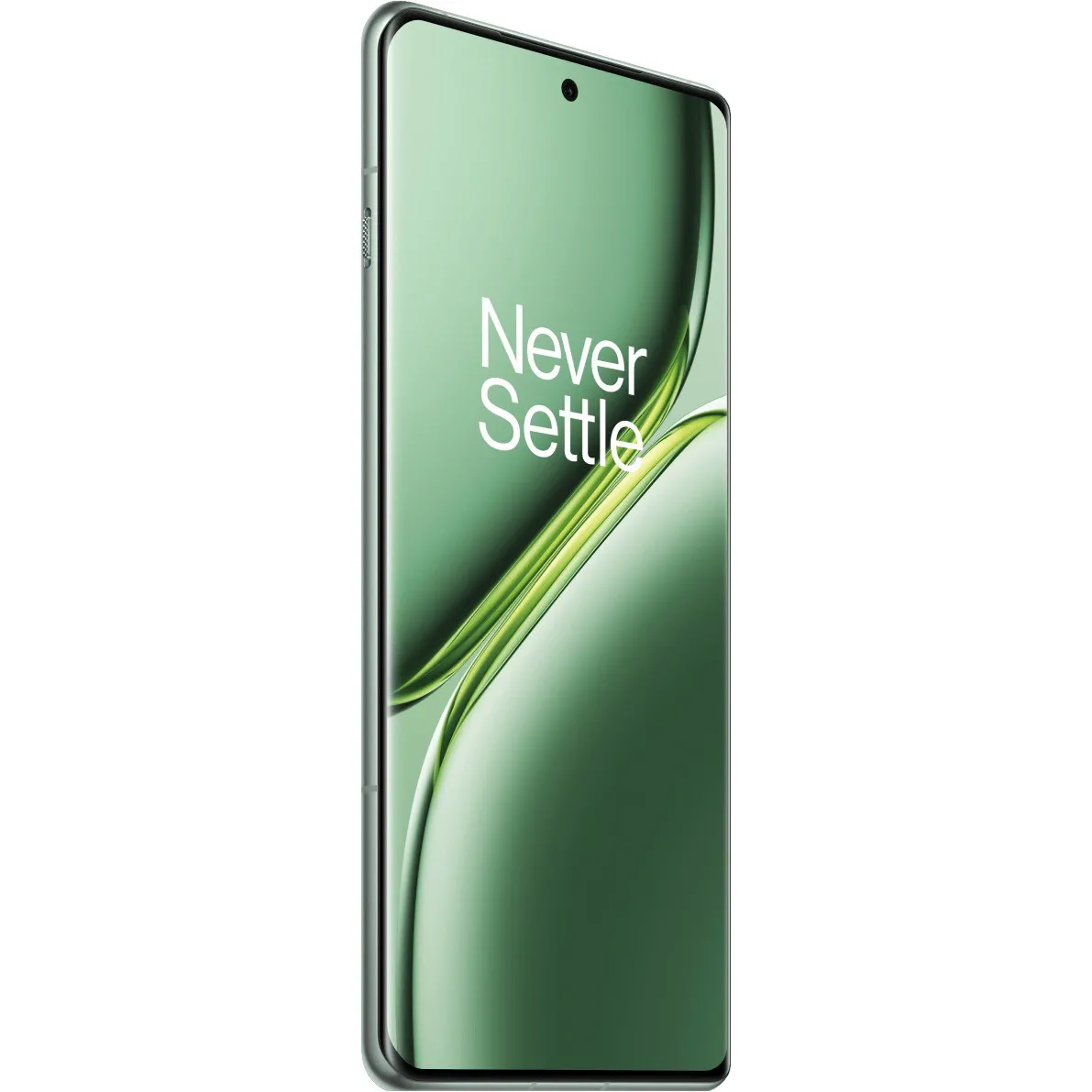 OnePlus Ace 3 Pro PJX110 24/1TB Green Мультитач Да