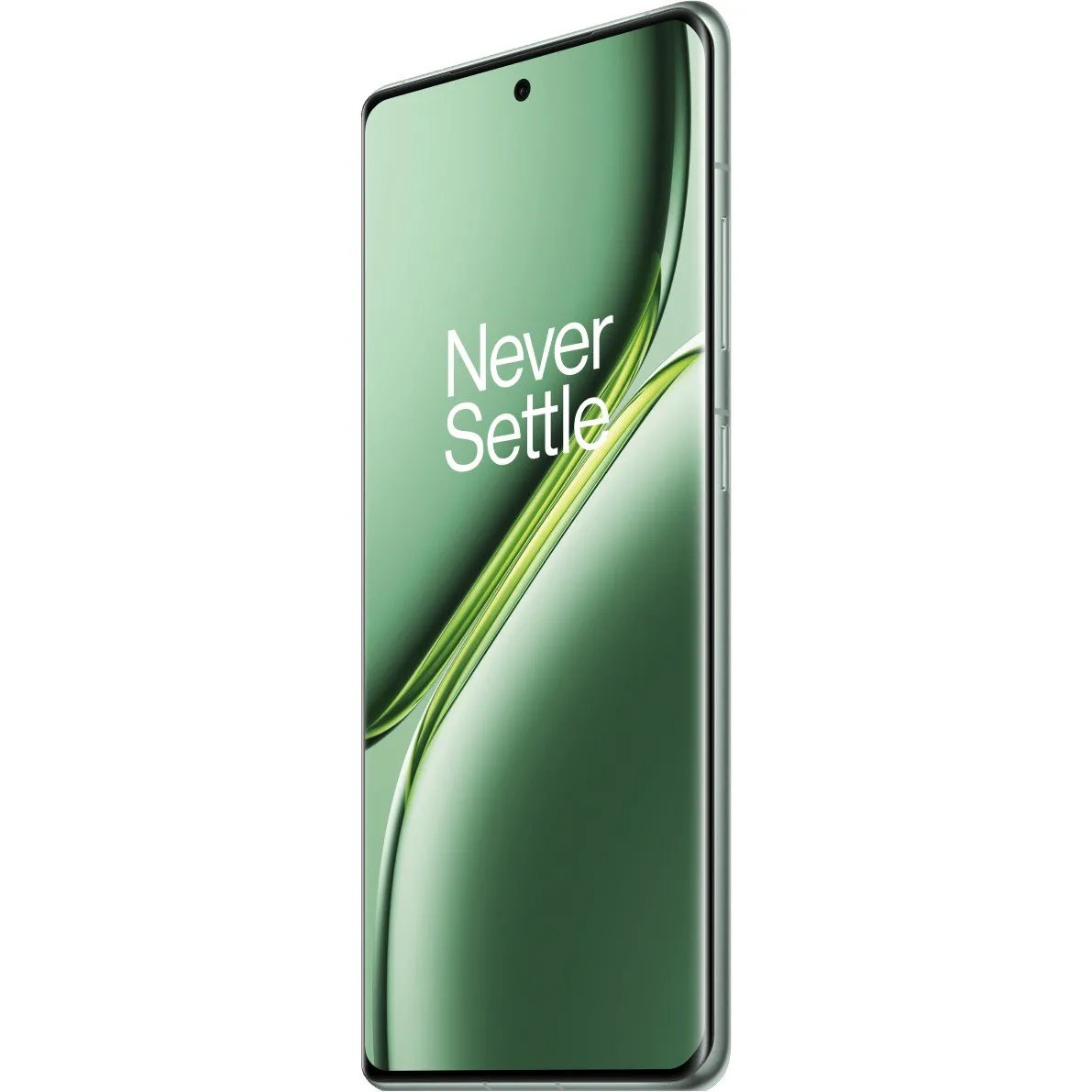 OnePlus Ace 3 Pro PJX110 24/1TB Green Тип матрицы LTPO AMOLED