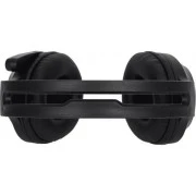 Наушники с микрофоном HP DHH-1601 Black (UA)
