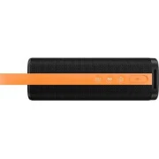 Xiaomi Sound Outdoor 30W Black (QBH4261GL)