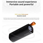 Xiaomi Sound Outdoor 30W Black (QBH4261GL)