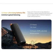 Xiaomi Sound Outdoor 30W Black (QBH4261GL)