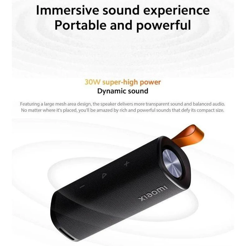 Xiaomi Sound Outdoor 30W Black (QBH4261GL) Подключение беспроводное