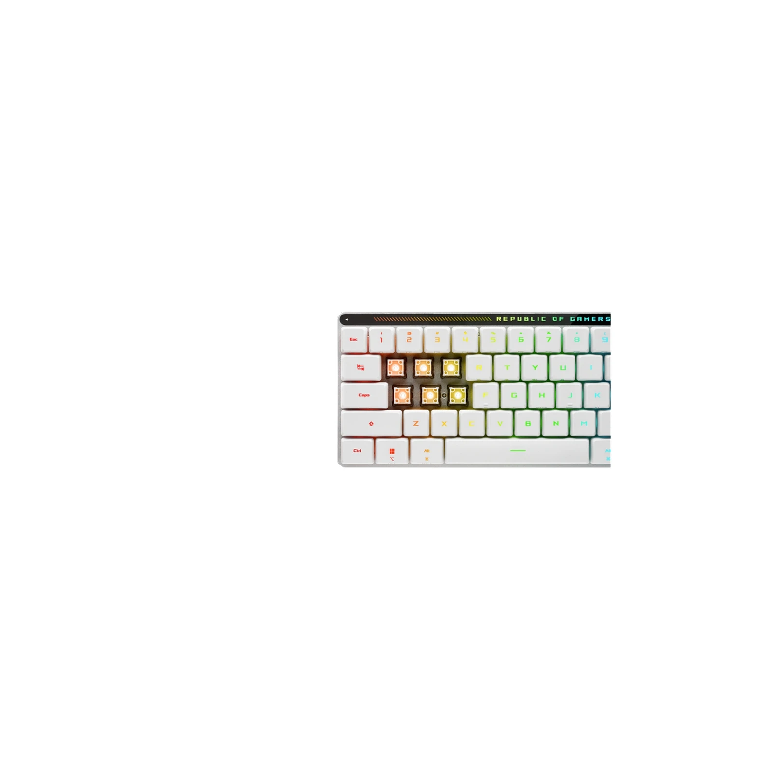 ASUS ROG Falchion RX Low Profile Red Wireless/Bluetooth/USB UA White (90MP03EC-BKMA10) (UA) Формат клавіатури компактна