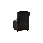 Cougar Ranger One (UA)